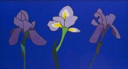 New Exhibition. Irises etc. Recent paintings and watercolours